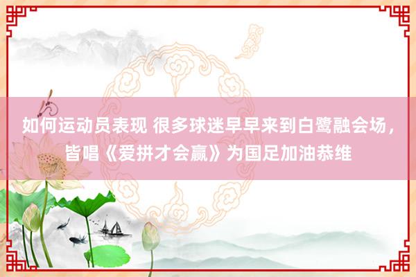 如何运动员表现 很多球迷早早来到白鹭融会场，皆唱《爱拼才会赢》为国足加油恭维