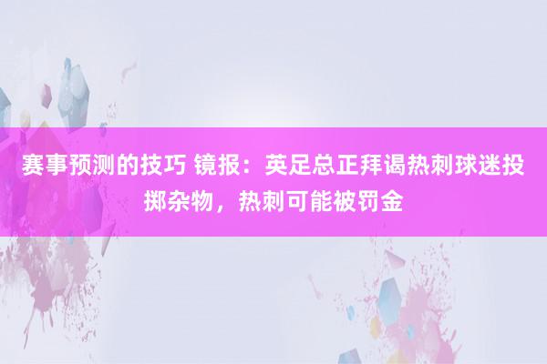 赛事预测的技巧 镜报：英足总正拜谒热刺球迷投掷杂物，热刺可能被罚金